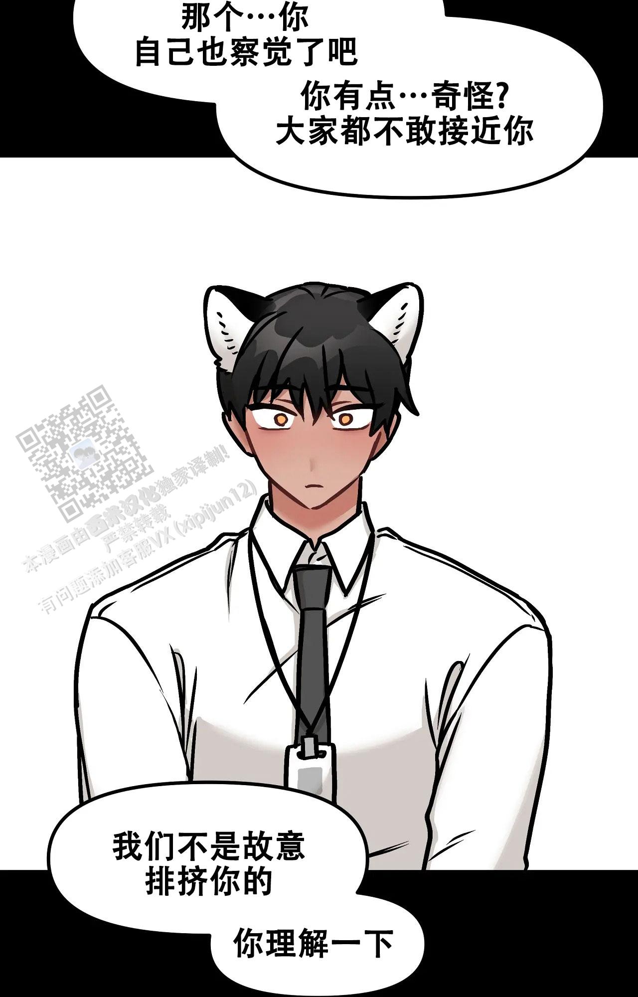 胆怯的老虎 - 第23话 - 第13张图