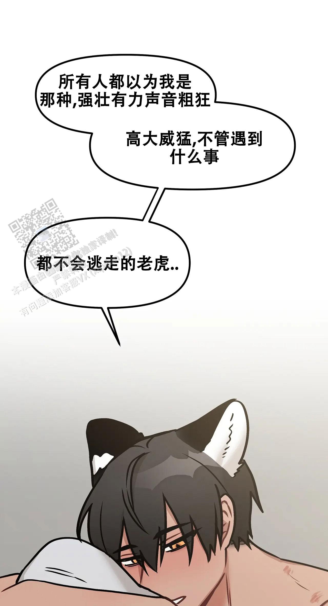 胆怯的老虎 - 第23话 - 第21张图