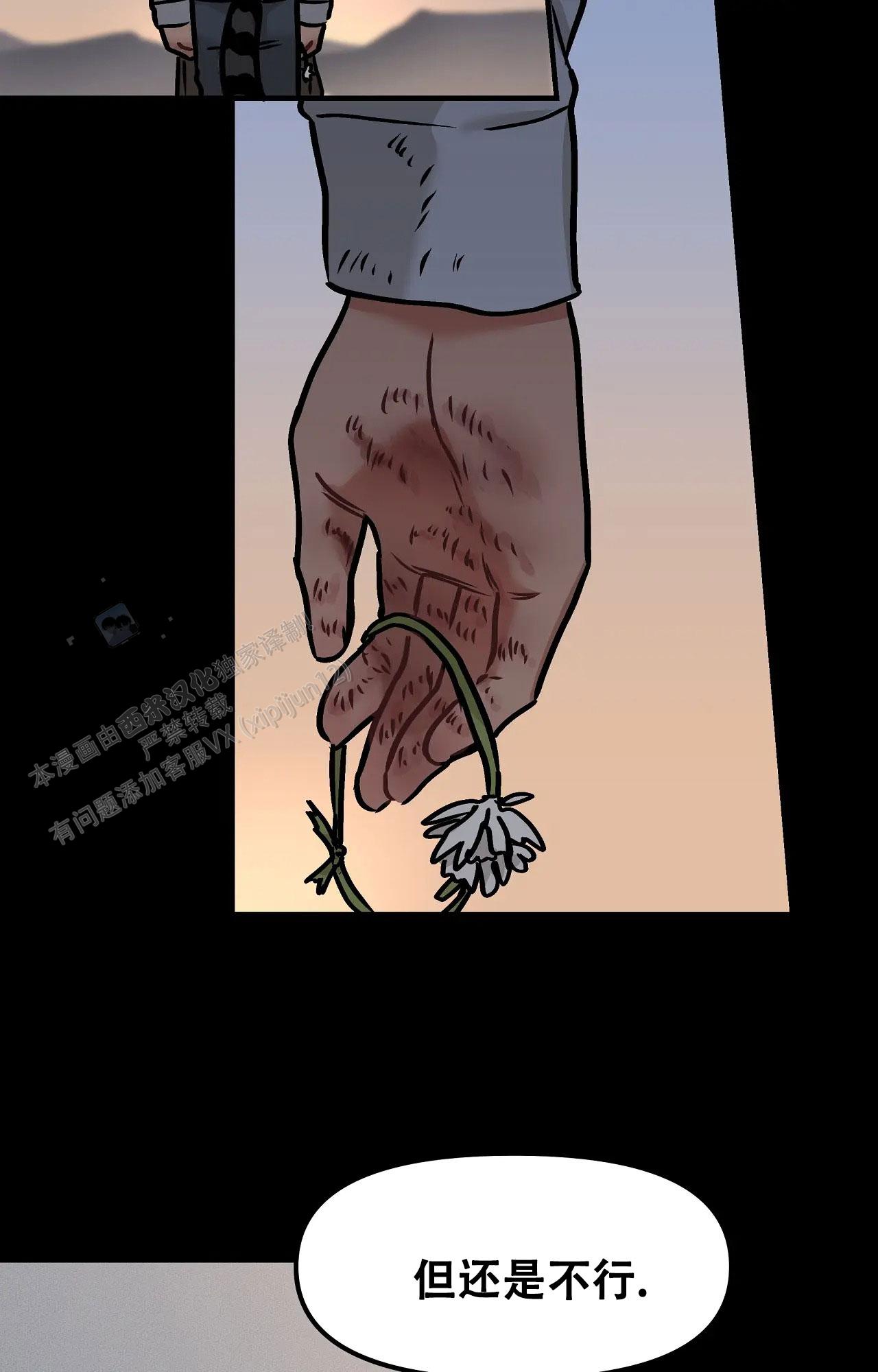 胆怯的老虎 - 第23话 - 第27张图