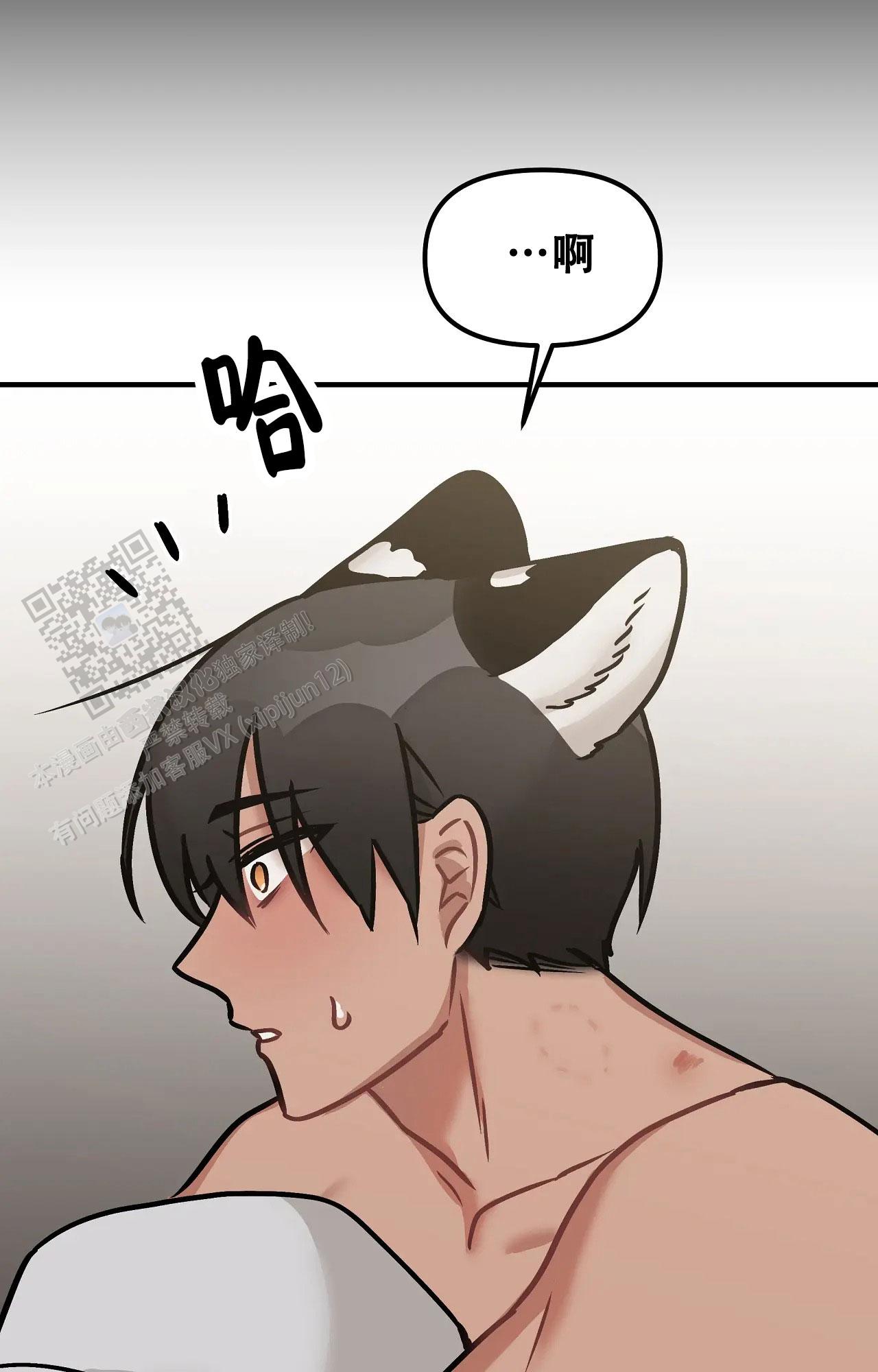 胆怯的老虎 - 第23话 - 第34张图