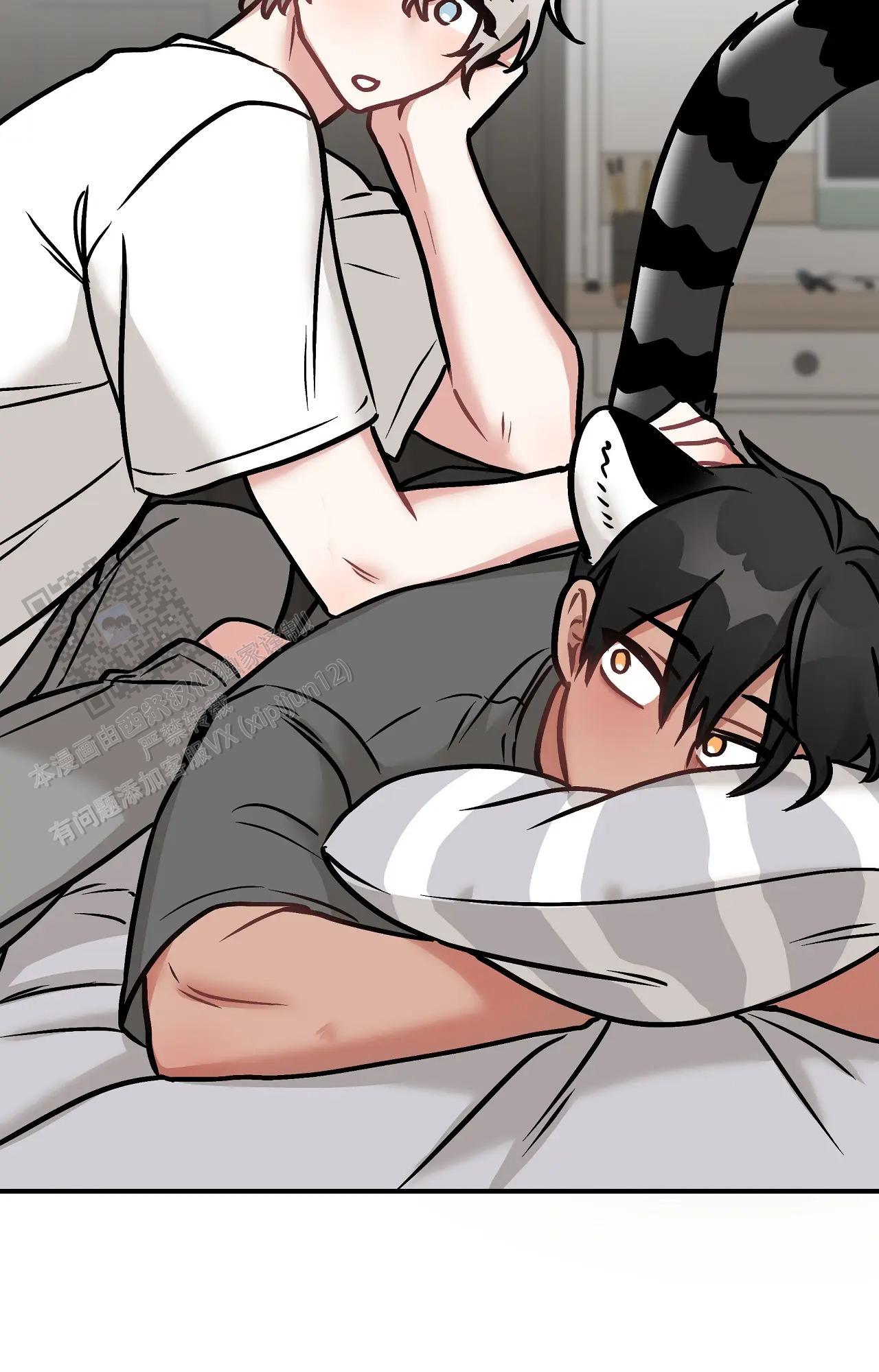 胆怯的老虎 - 第26话 - 第11张图