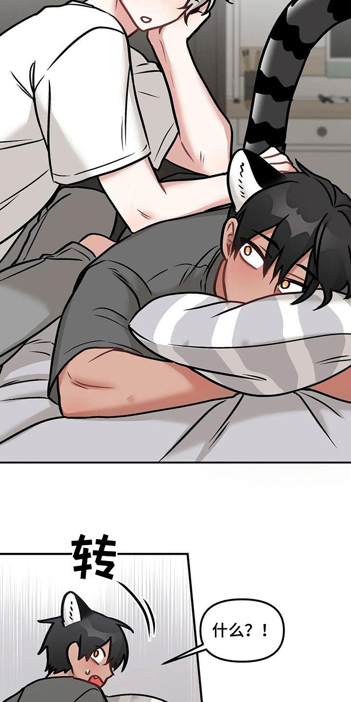 胆怯的老虎 - 第25话 - 第14张图