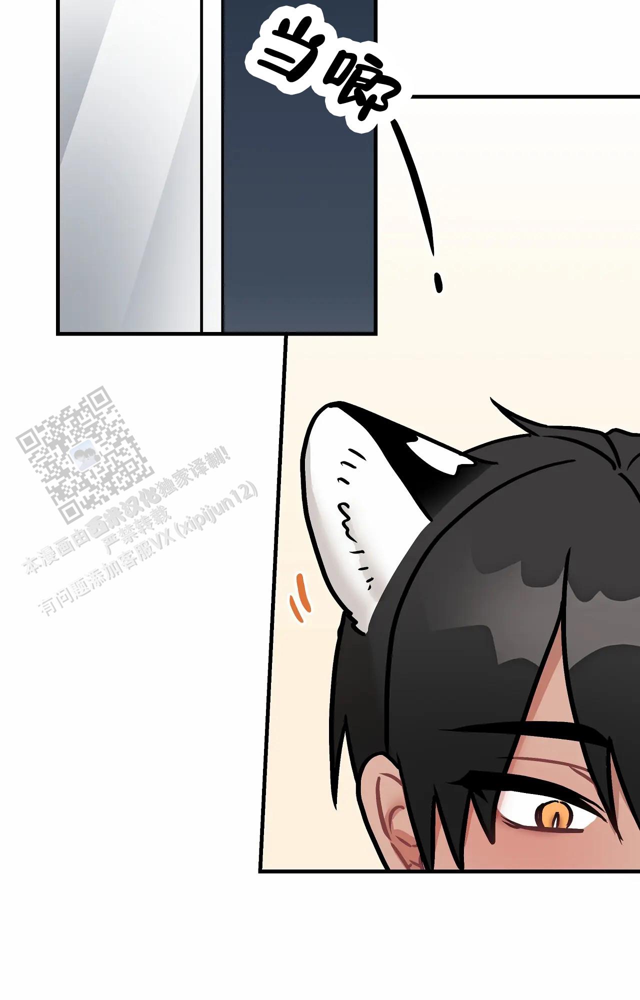 胆怯的老虎 - 第18话 - 第12张图