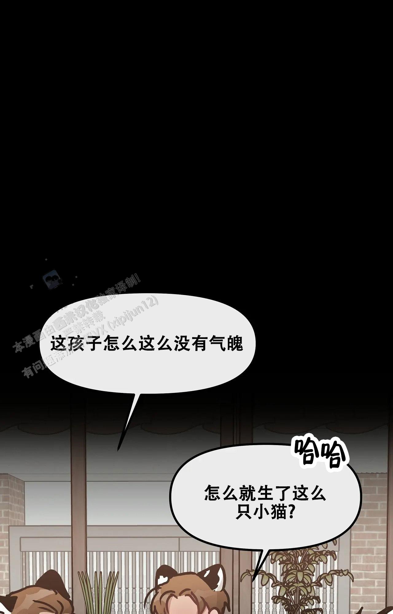 胆怯的老虎 - 第22话 - 第5张图