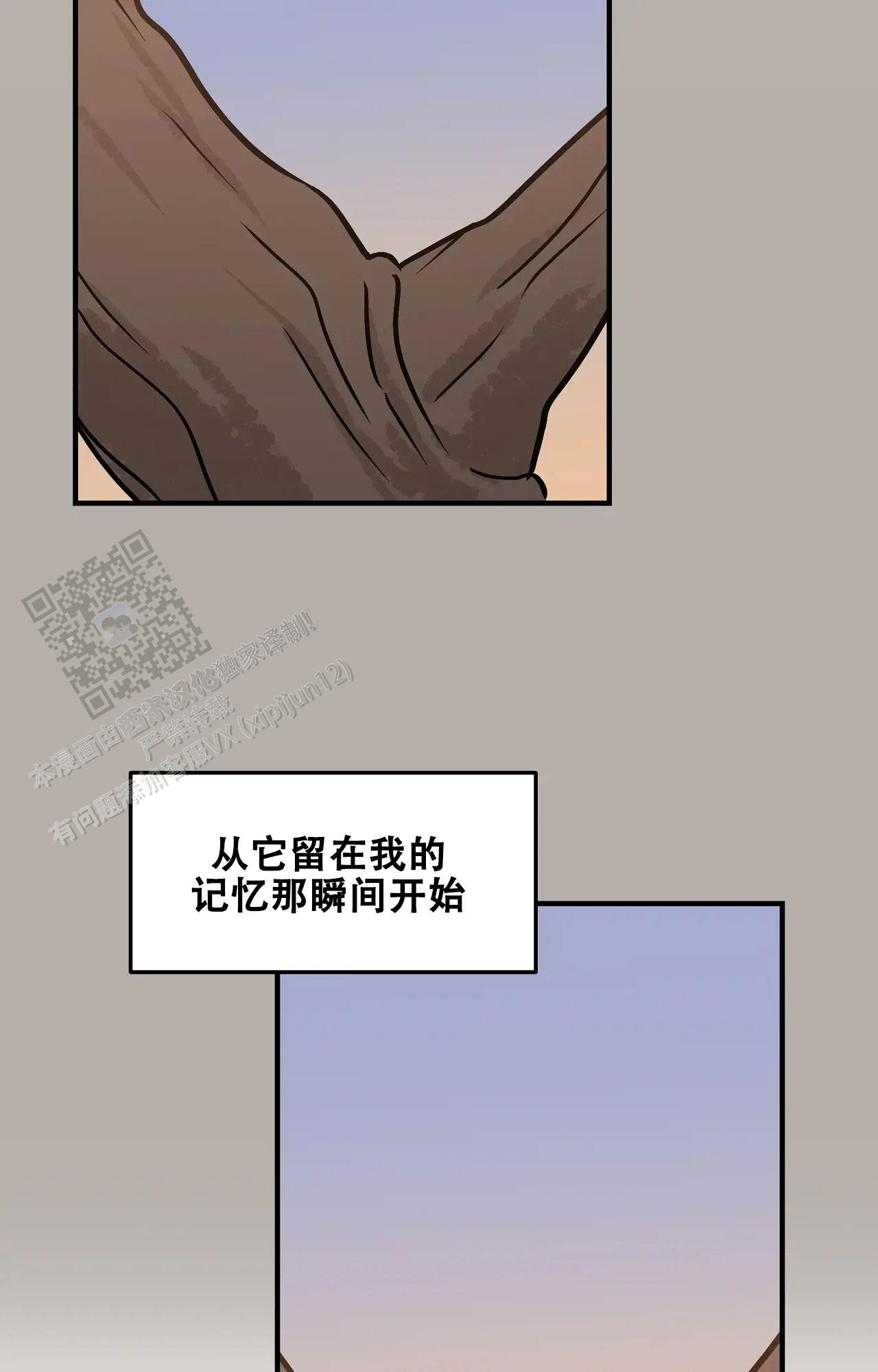 胆怯的老虎 - 第21话 - 第26张图