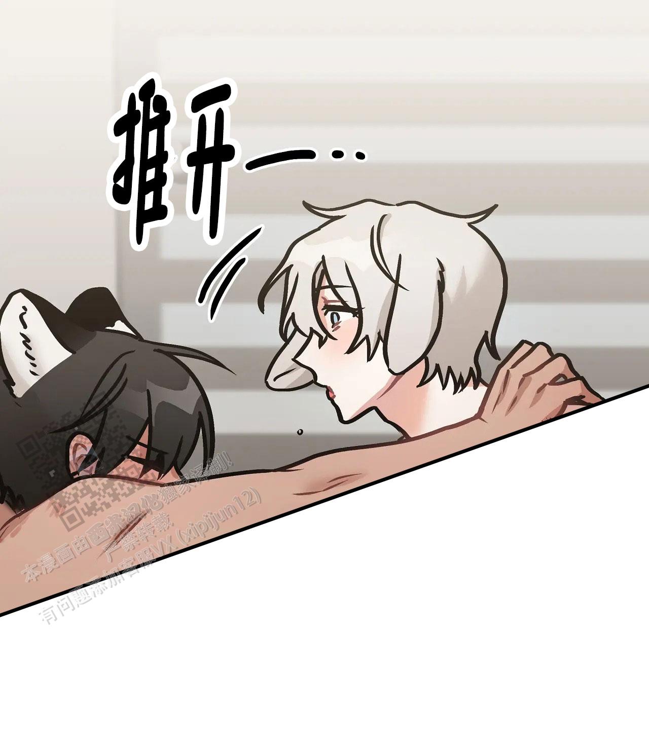 胆怯的老虎 - 第19话 - 第22张图