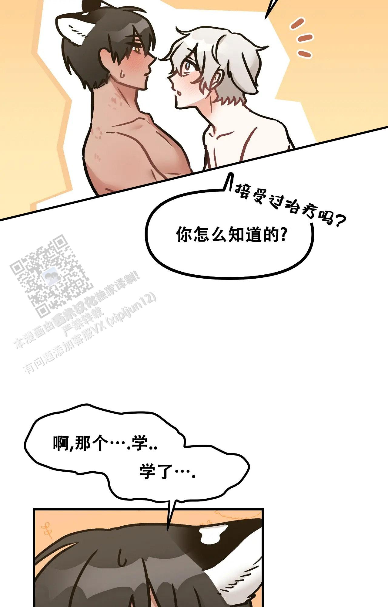 胆怯的老虎 - 第19话 - 第9张图