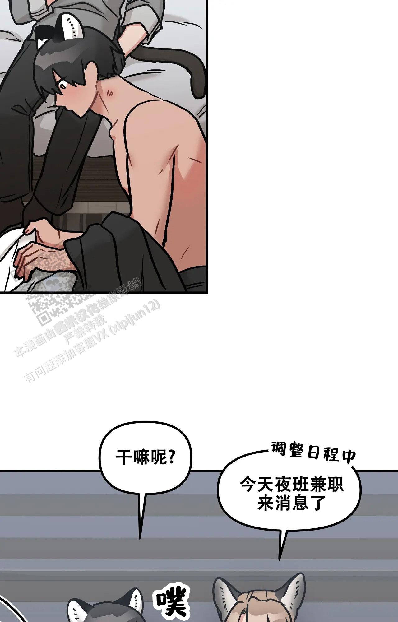 胆怯的老虎 - 第15话 - 第17张图