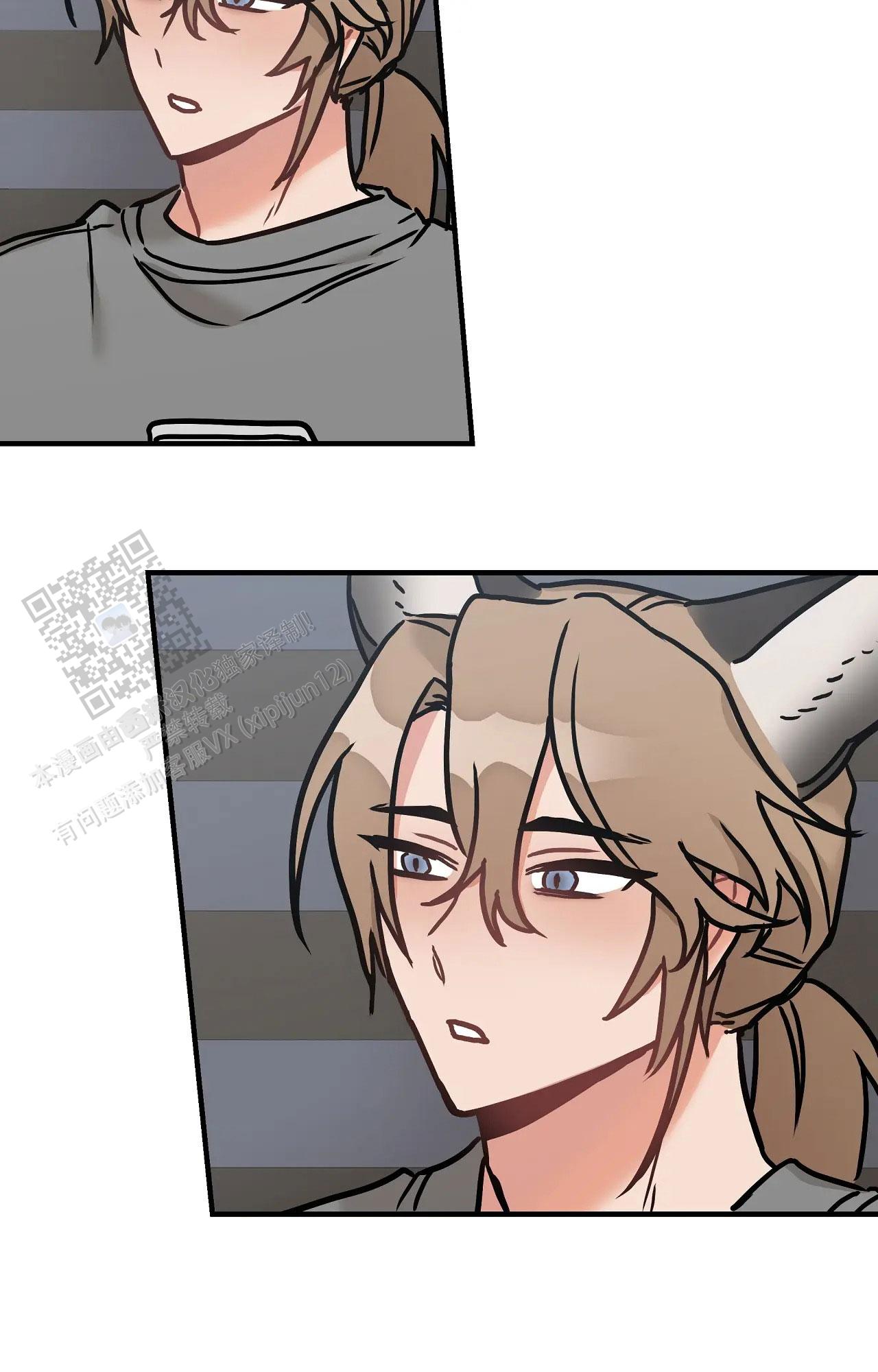 胆怯的老虎 - 第15话 - 第19张图