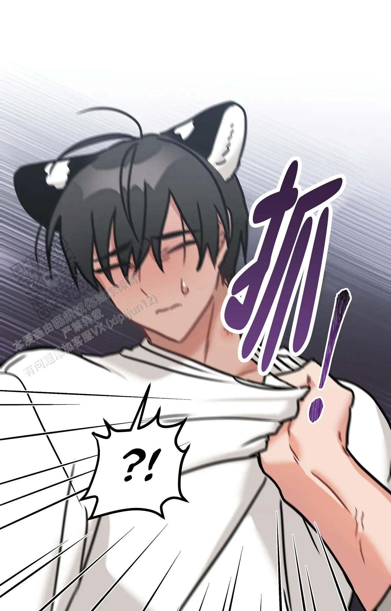 胆怯的老虎 - 第15话 - 第20张图