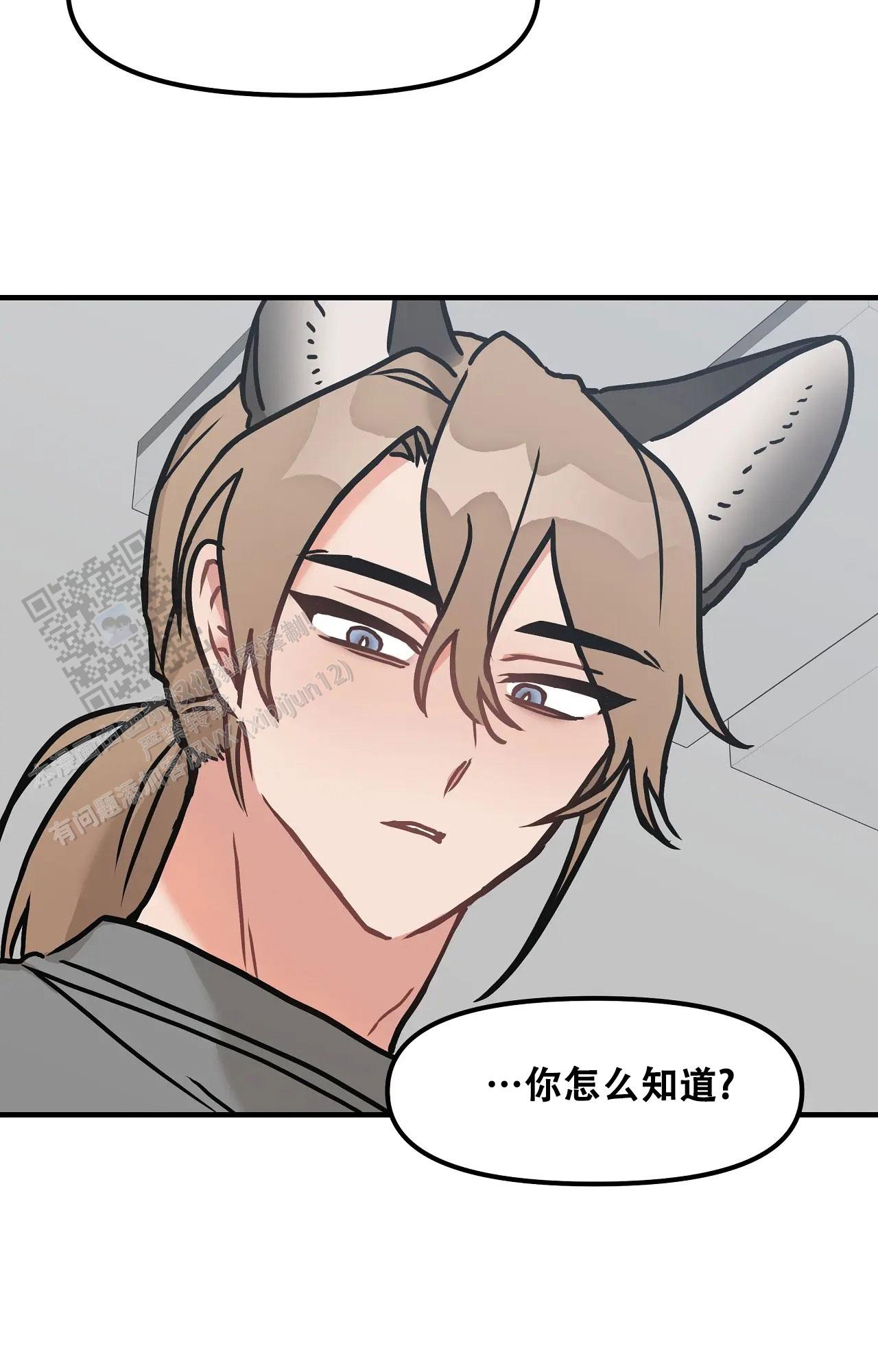 胆怯的老虎 - 第15话 - 第23张图