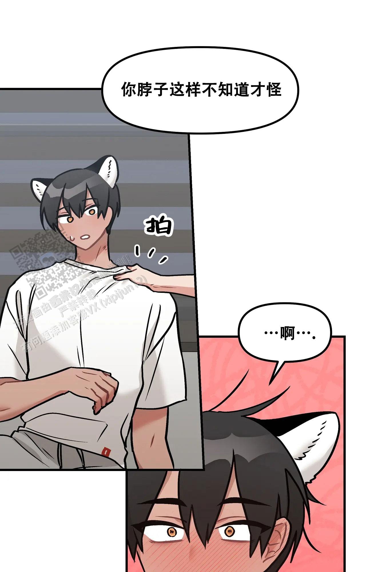 胆怯的老虎 - 第15话 - 第24张图