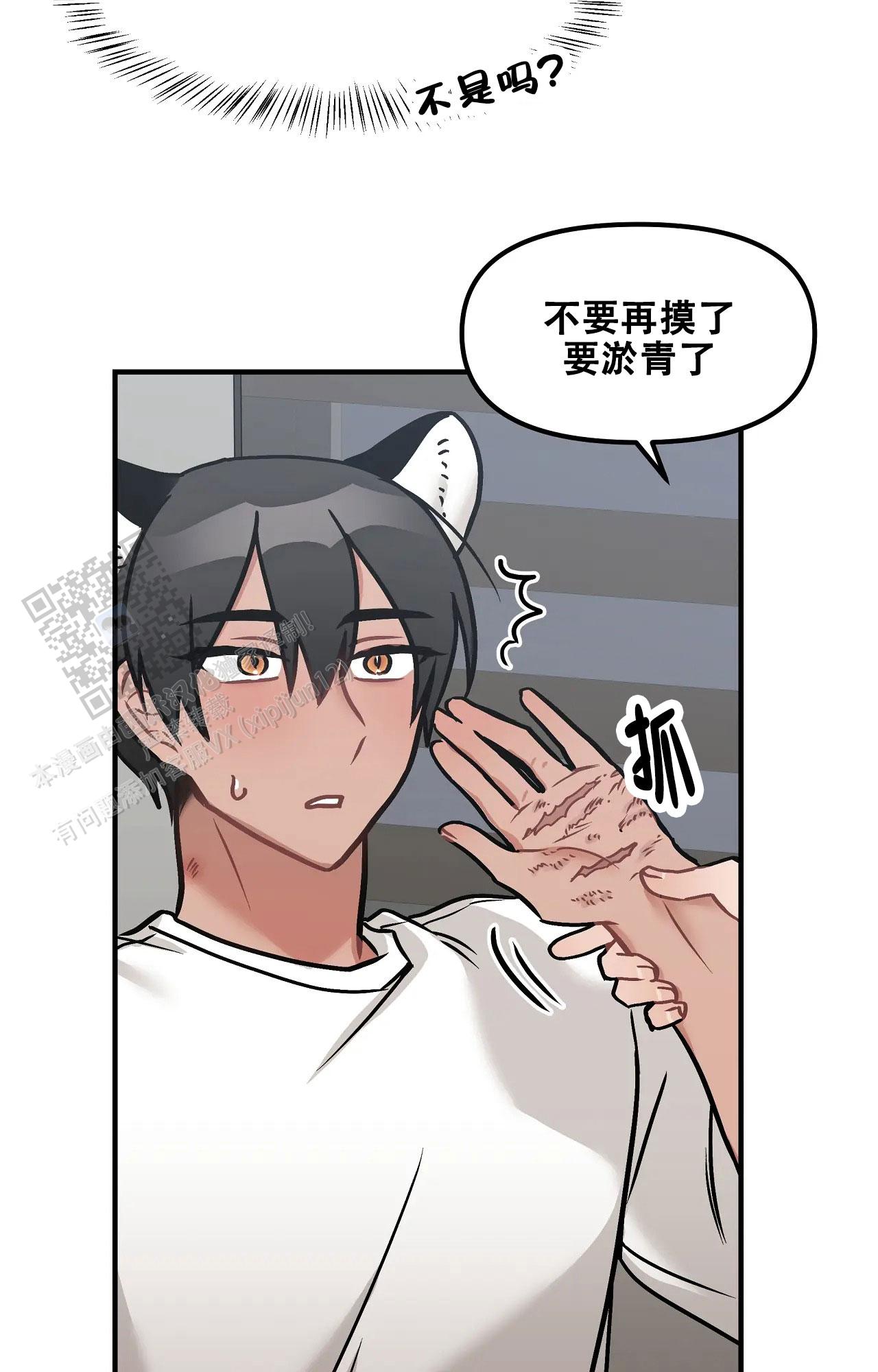 胆怯的老虎 - 第15话 - 第29张图