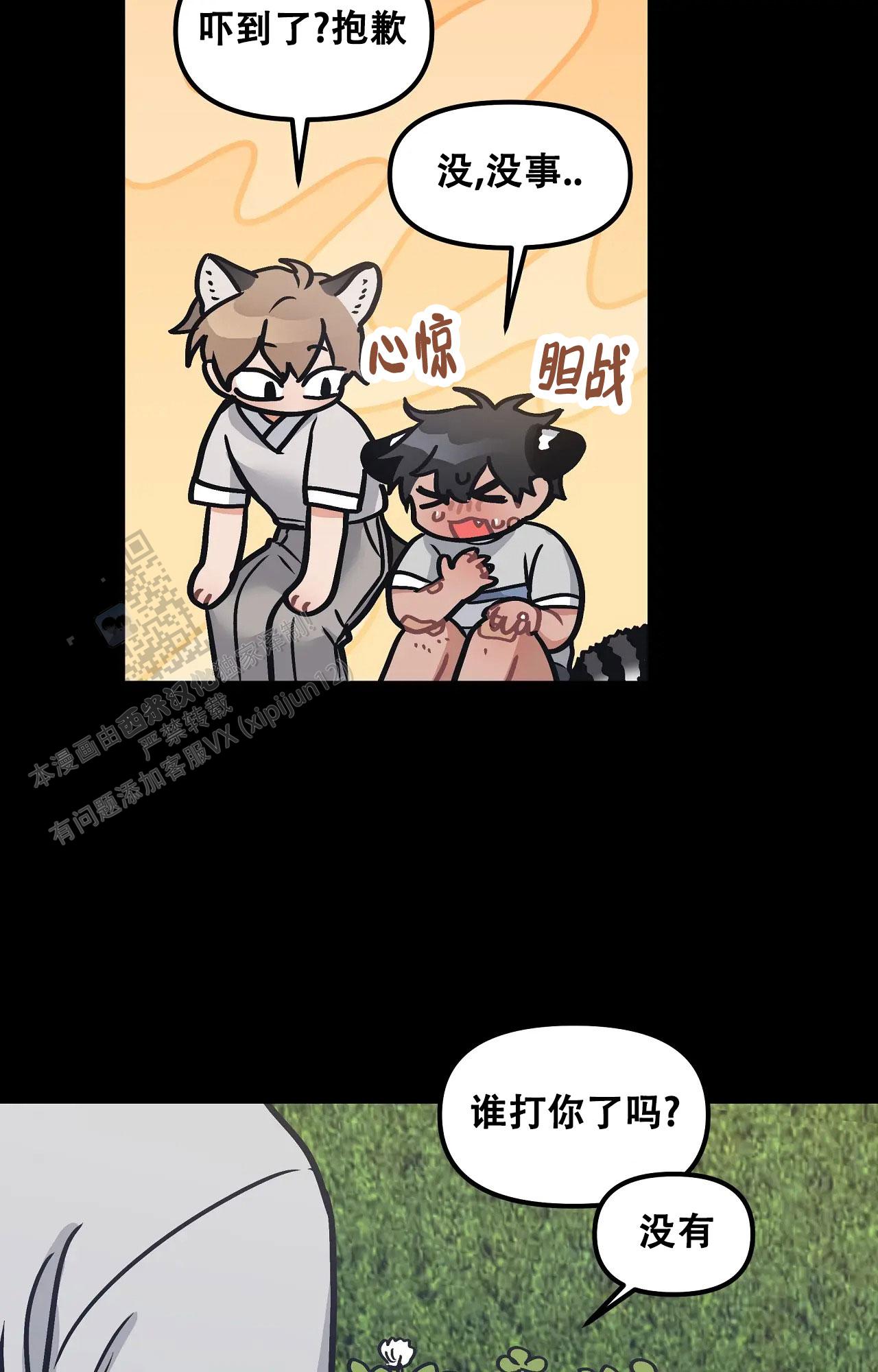 胆怯的老虎 - 第16话 - 第11张图