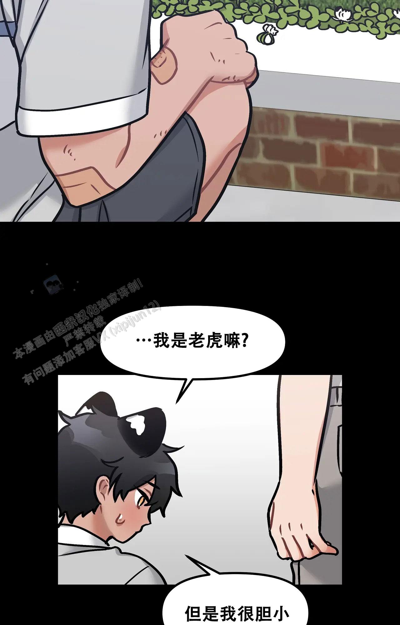 胆怯的老虎 - 第16话 - 第12张图