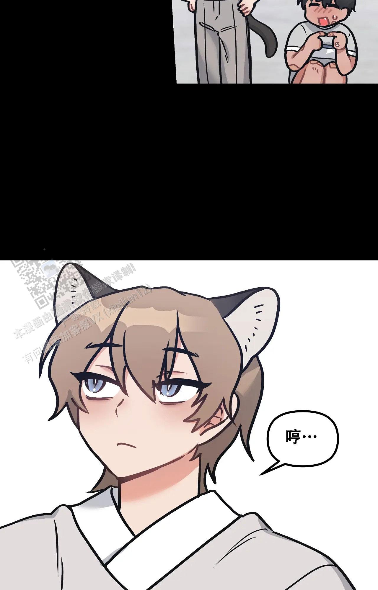 胆怯的老虎 - 第16话 - 第14张图