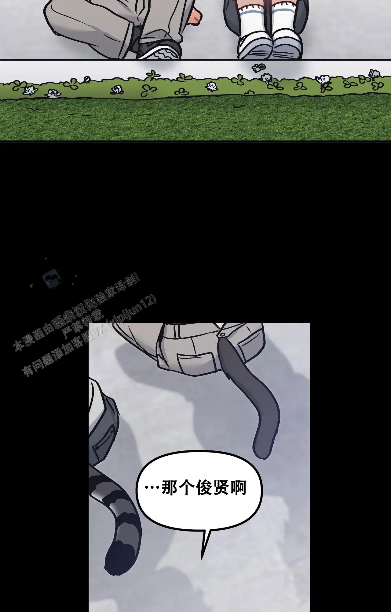 胆怯的老虎 - 第16话 - 第16张图