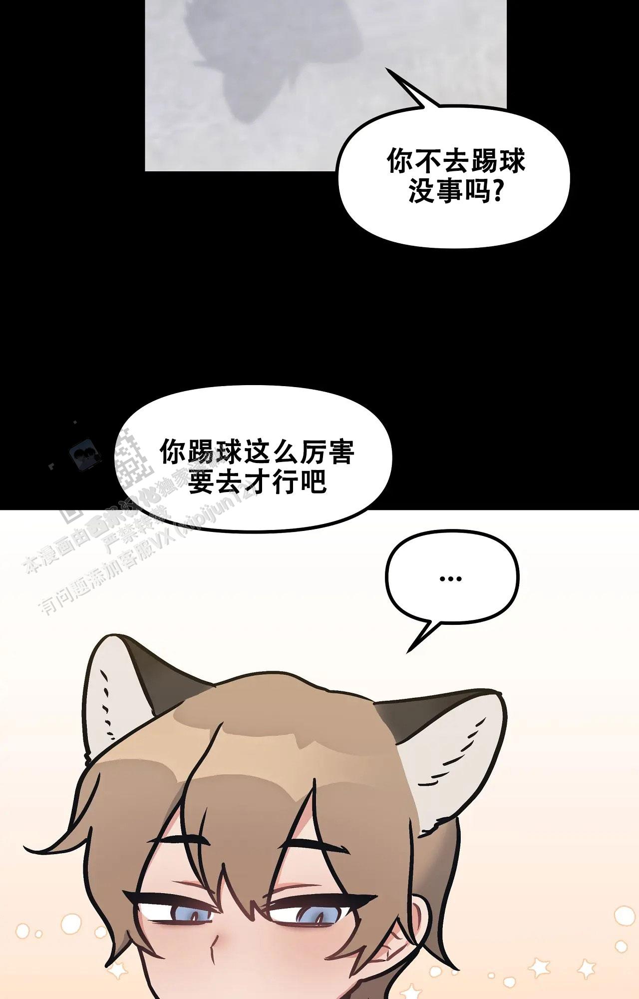 胆怯的老虎 - 第16话 - 第17张图