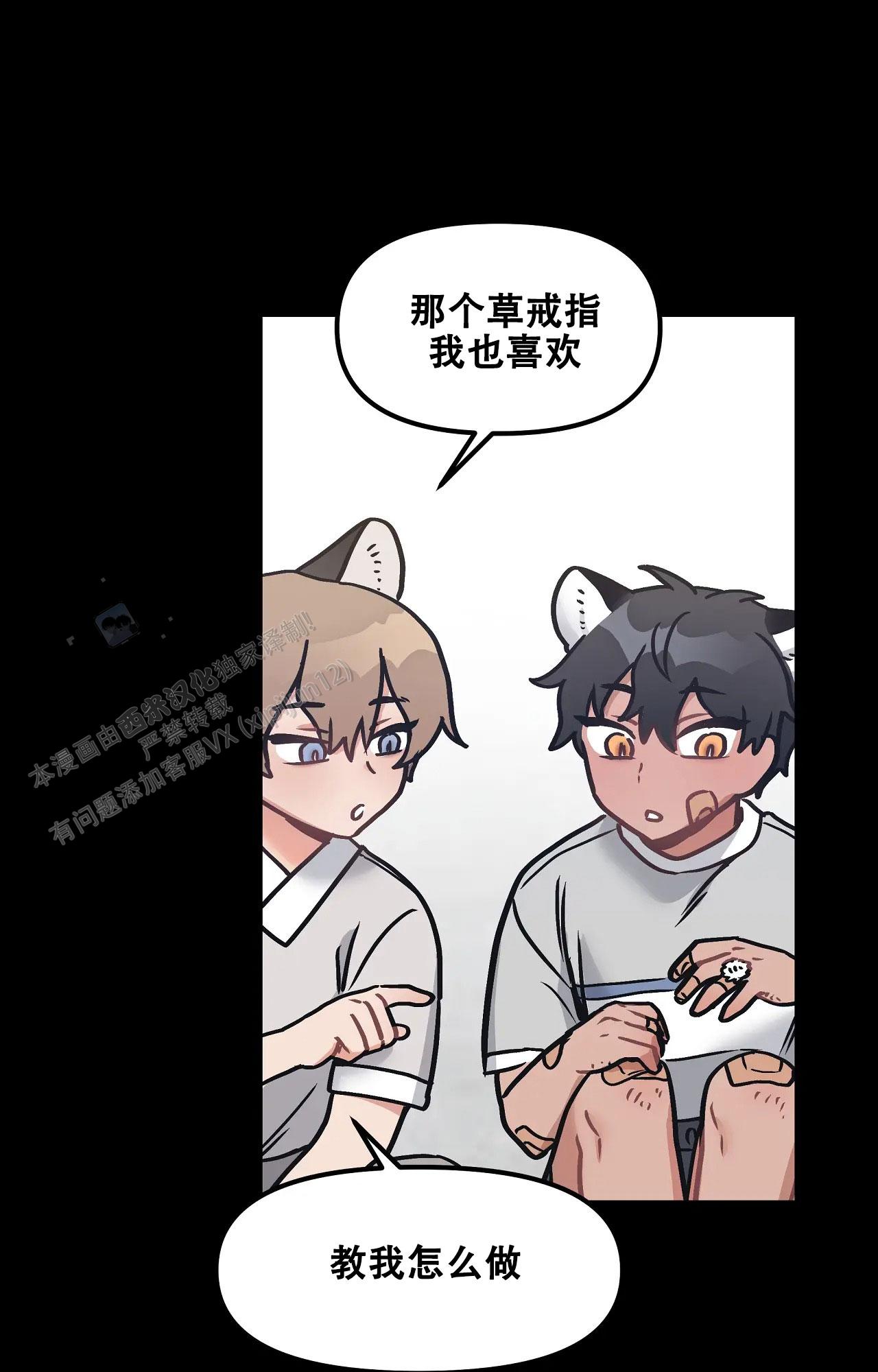 胆怯的老虎 - 第16话 - 第19张图