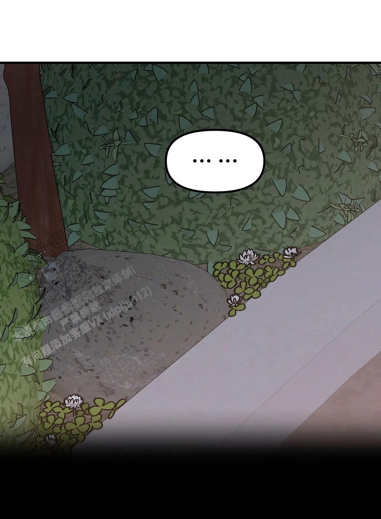 胆怯的老虎 - 第16话 - 第26张图