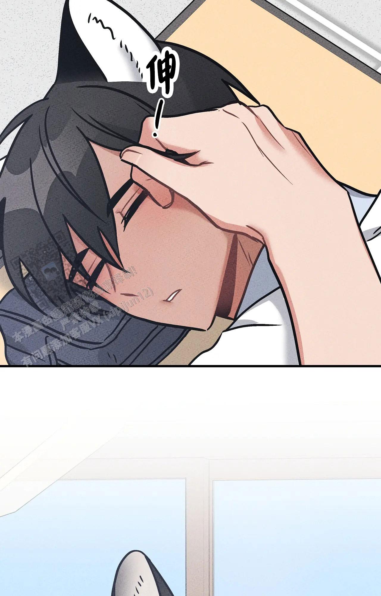 胆怯的老虎 - 第16话 - 第28张图