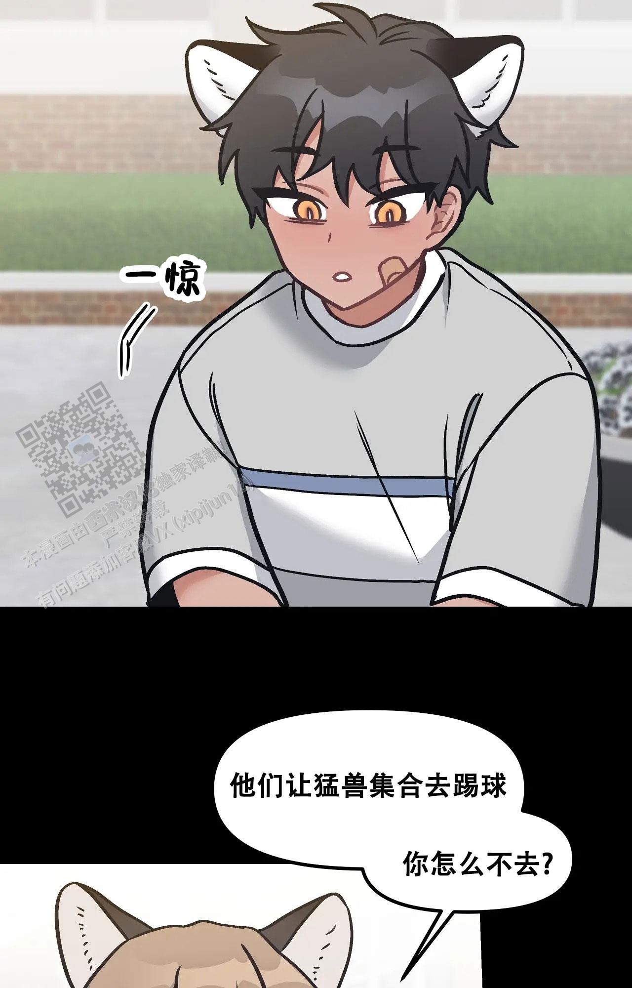 胆怯的老虎 - 第16话 - 第7张图