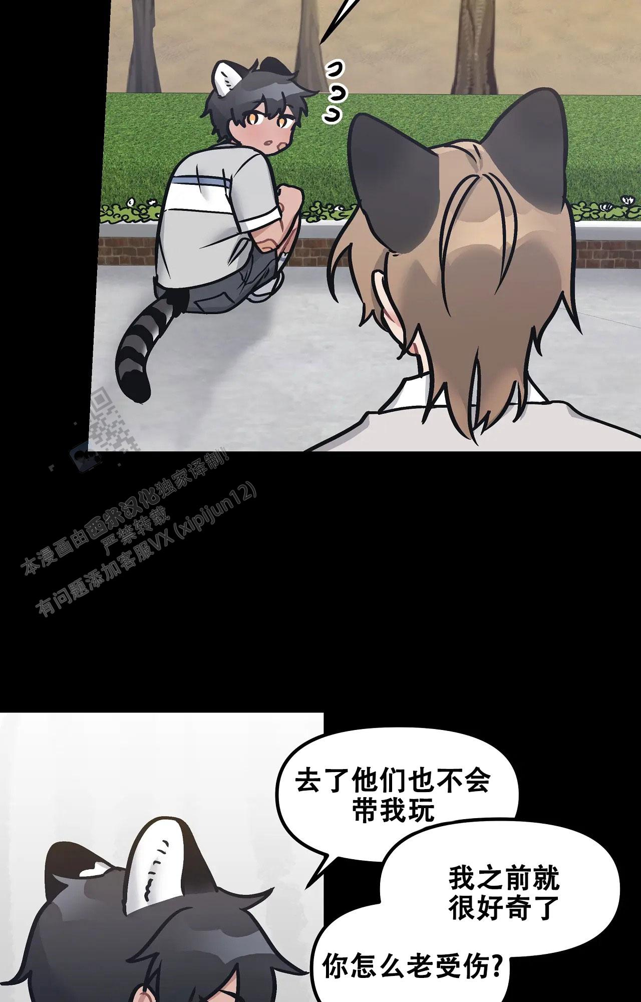 胆怯的老虎 - 第16话 - 第9张图