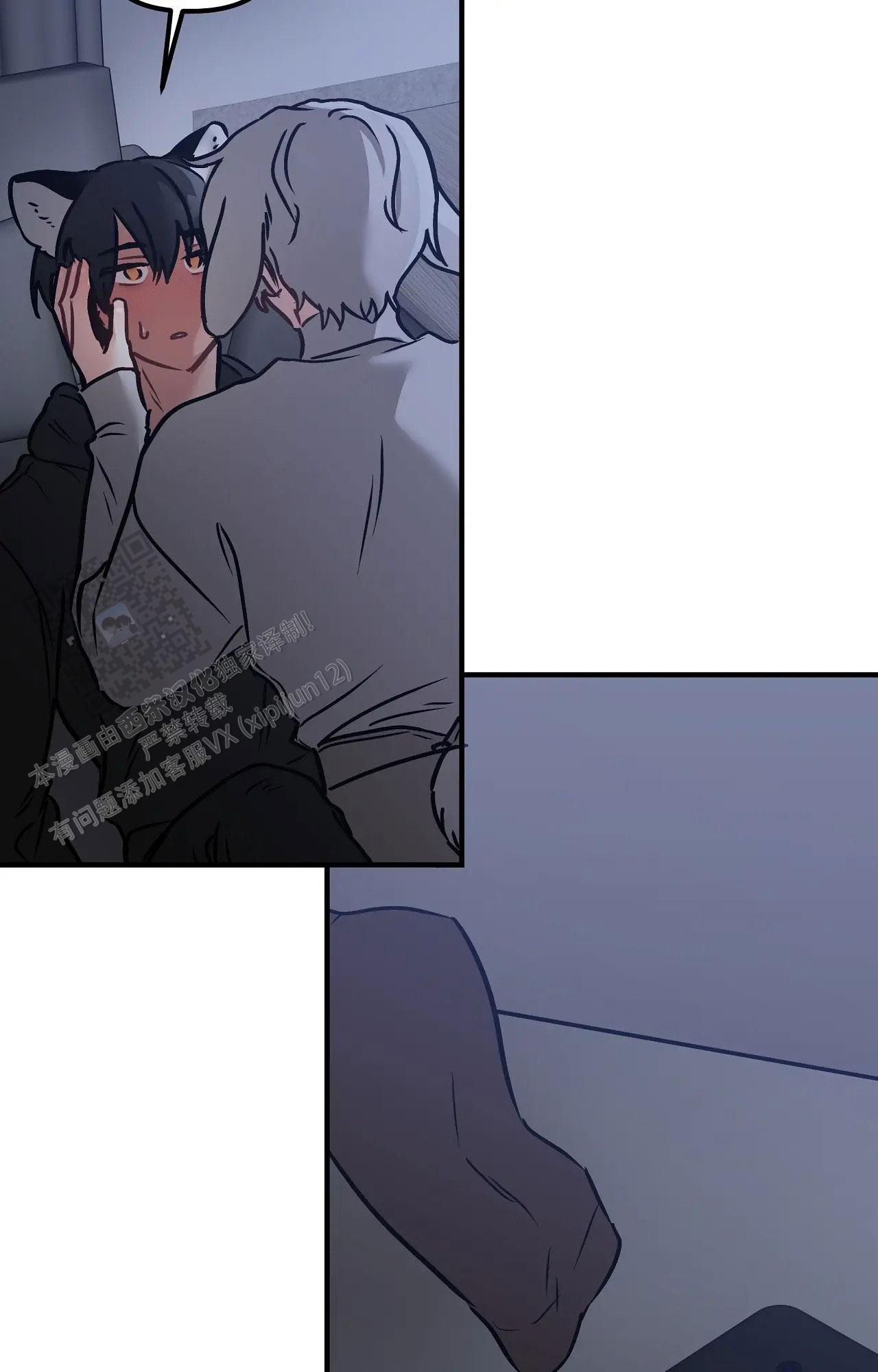 胆怯的老虎 - 第13话 - 第13张图