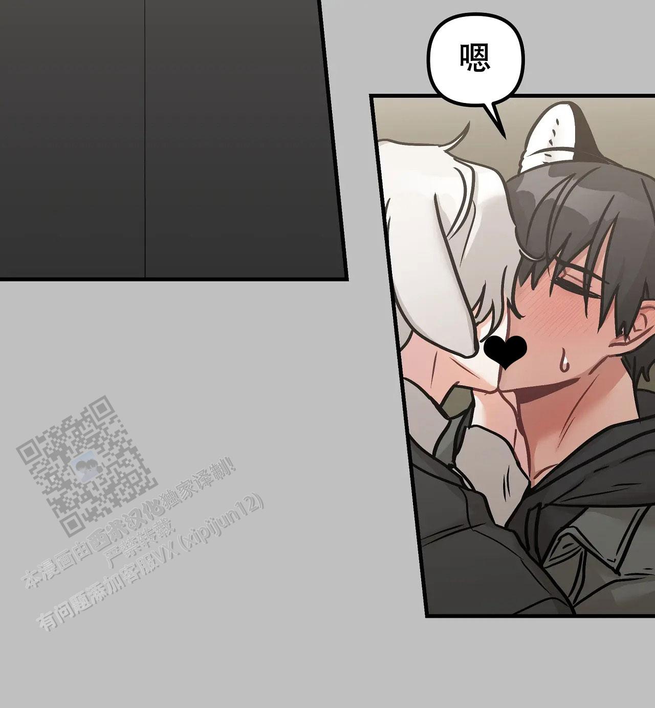 胆怯的老虎 - 第13话 - 第22张图