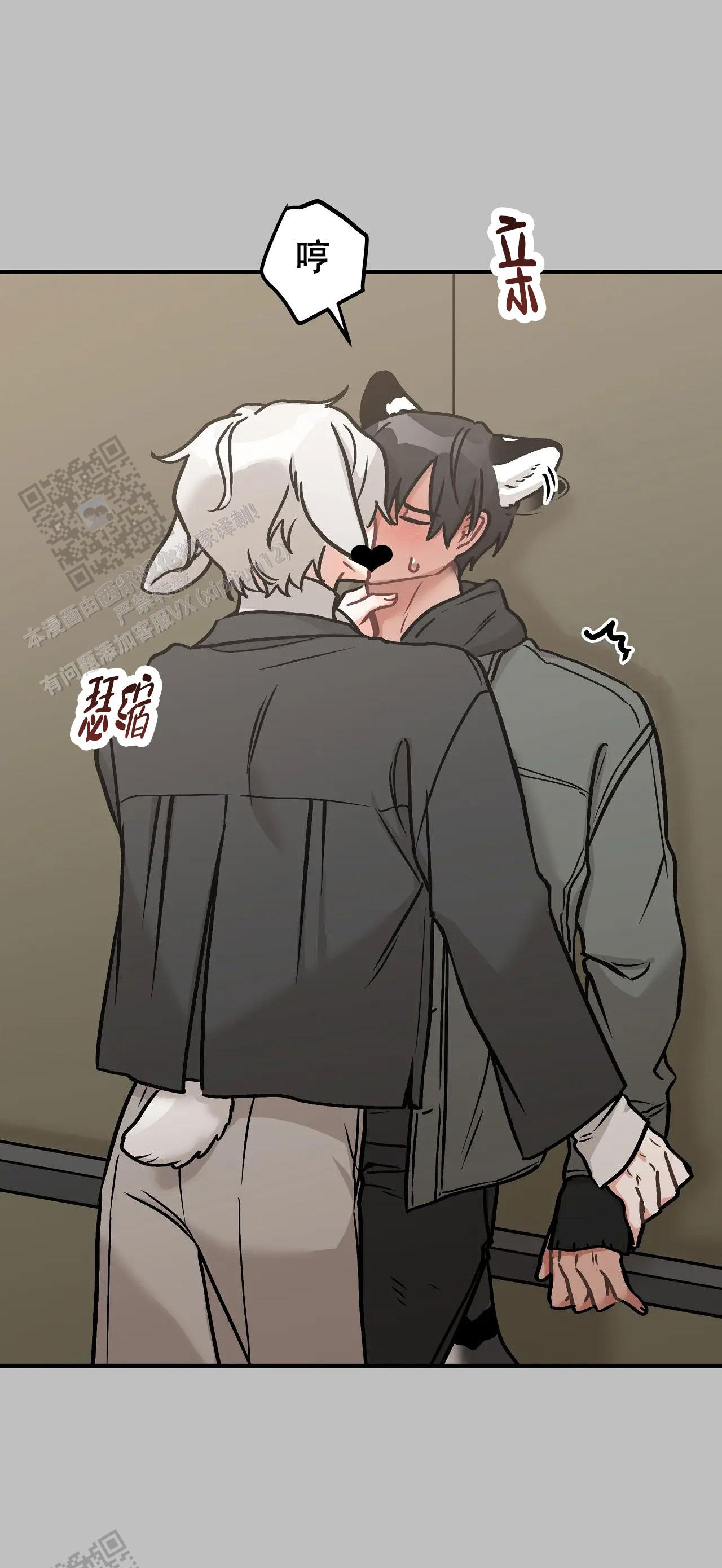 胆怯的老虎 - 第13话 - 第23张图