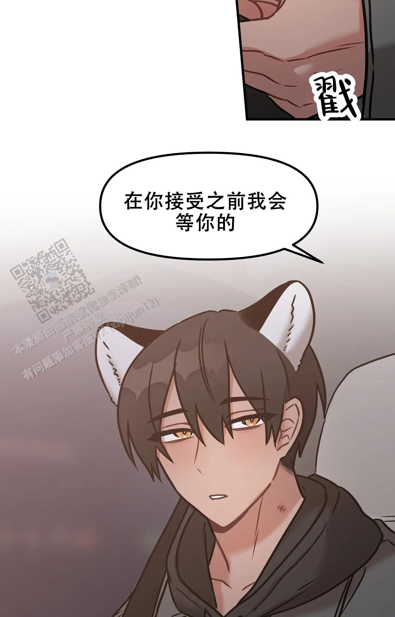 胆怯的老虎 - 第14话 - 第15张图