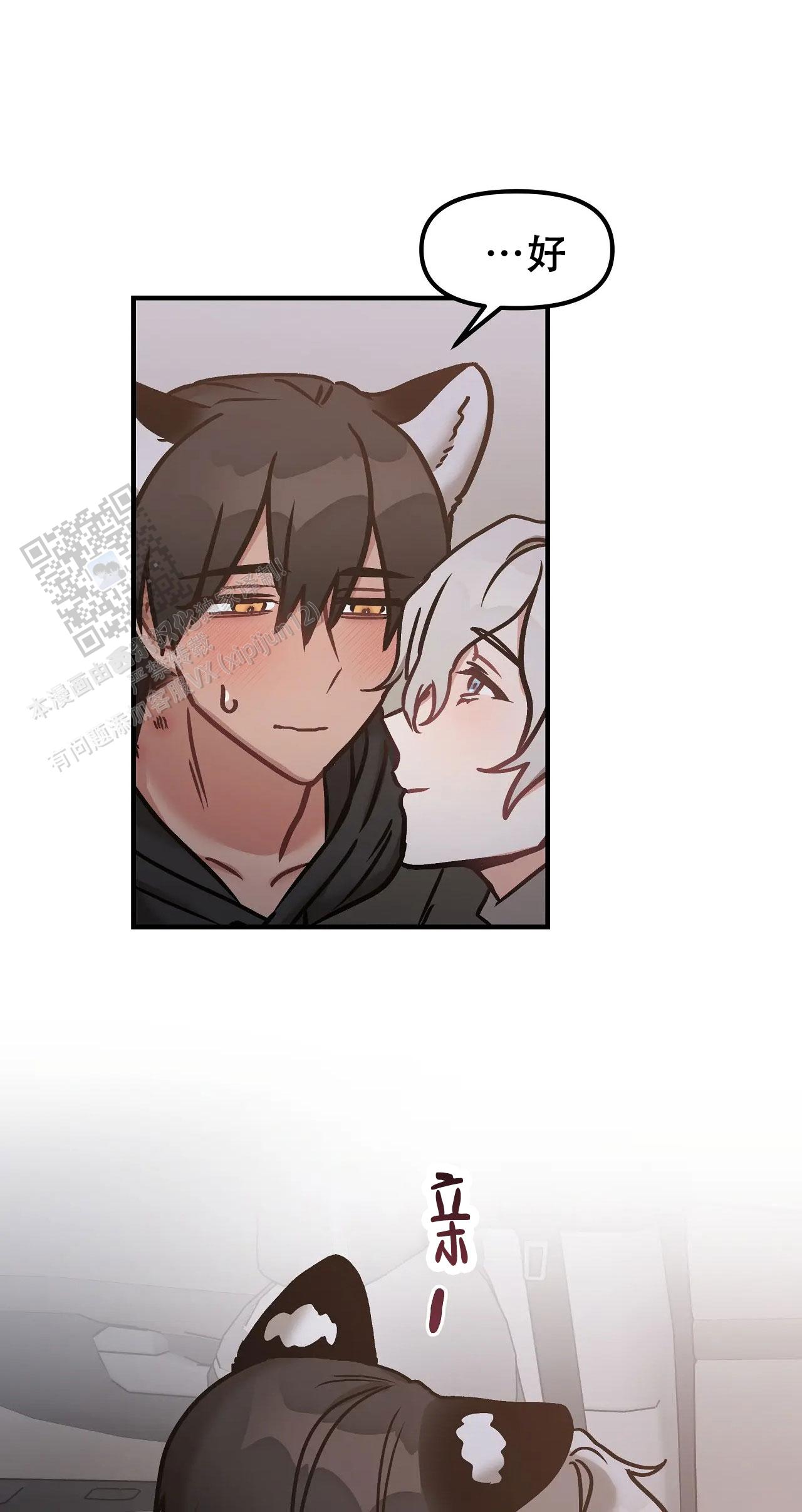 胆怯的老虎 - 第14话 - 第23张图