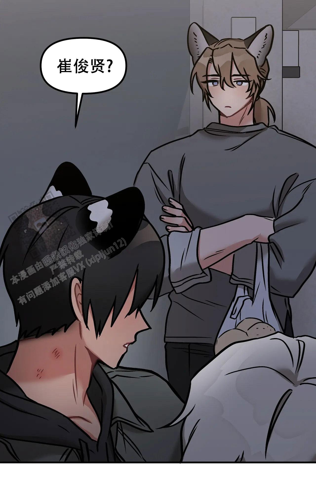 胆怯的老虎 - 第14话 - 第29张图