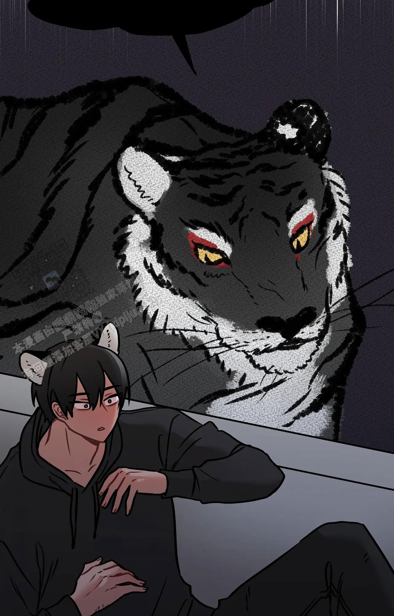 胆怯的老虎 - 第14话 - 第2张图