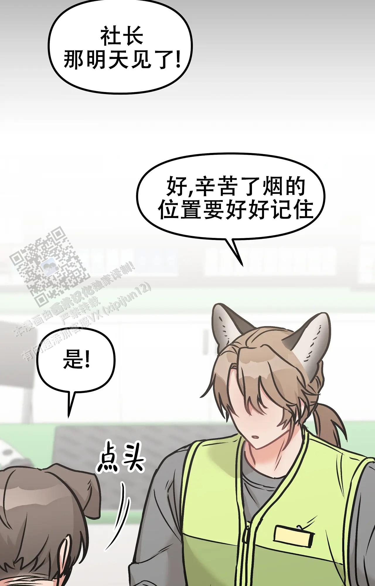 胆怯的老虎 - 第12话 - 第11张图