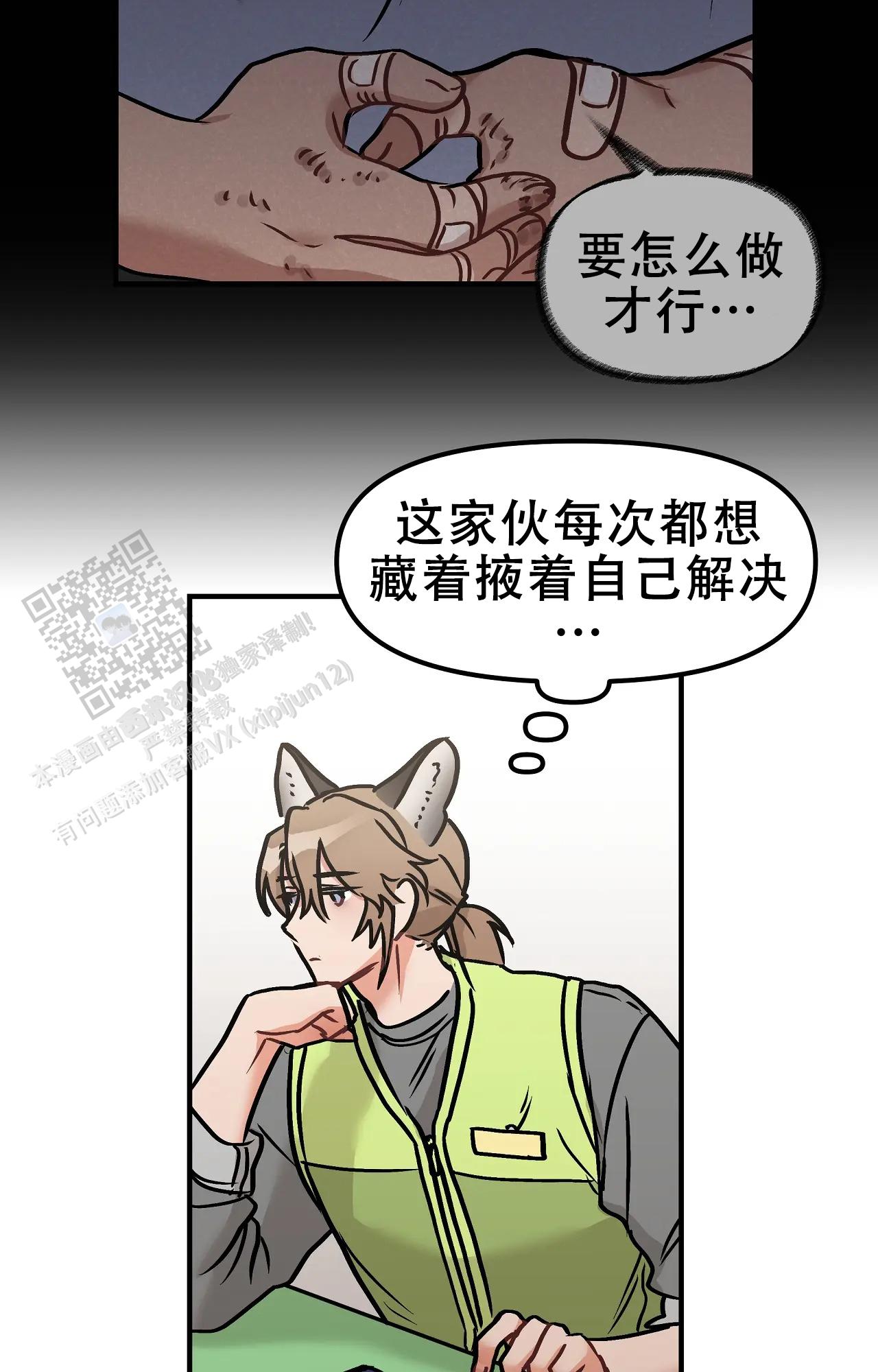 胆怯的老虎 - 第12话 - 第18张图