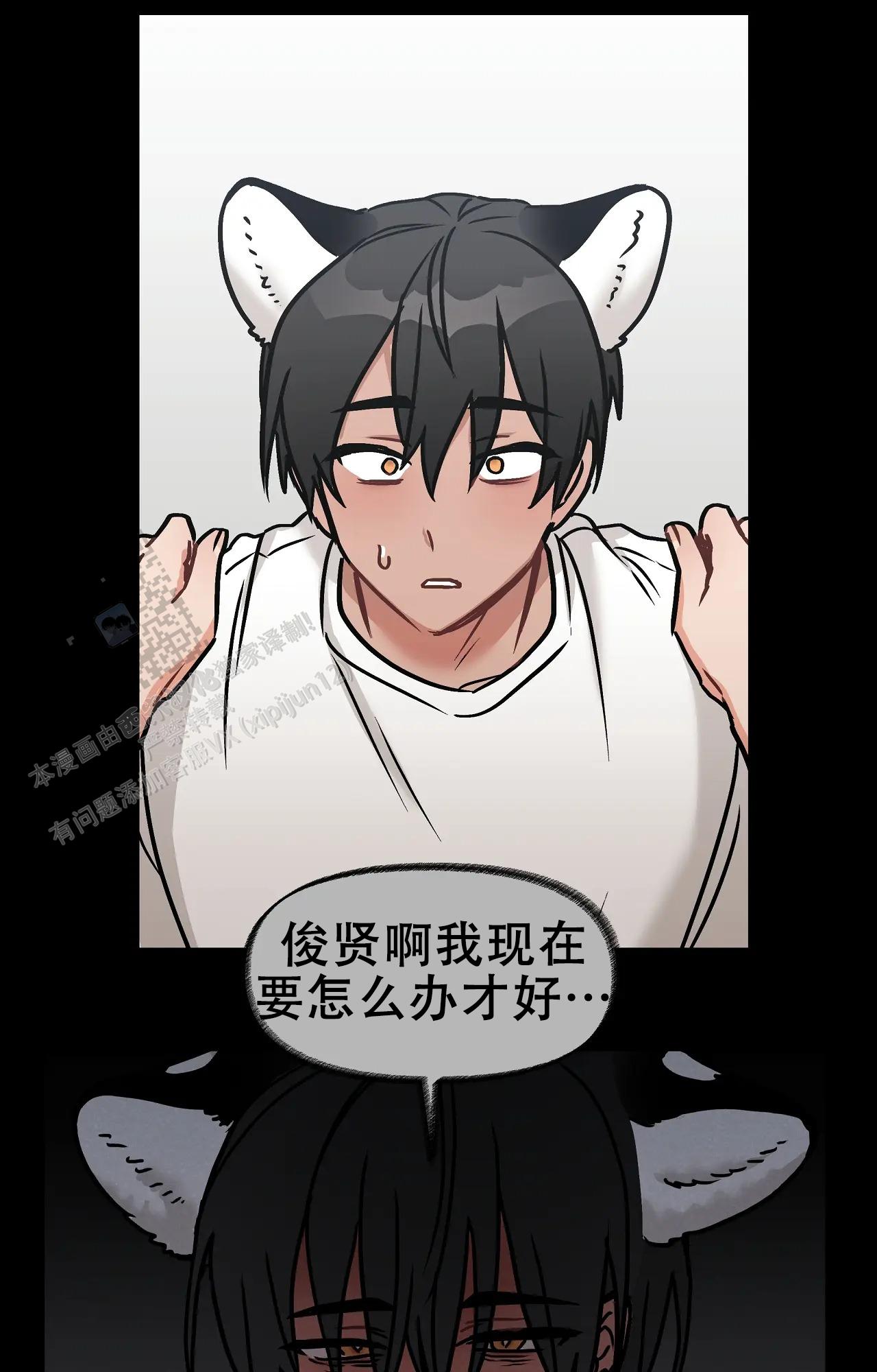 胆怯的老虎 - 第12话 - 第20张图