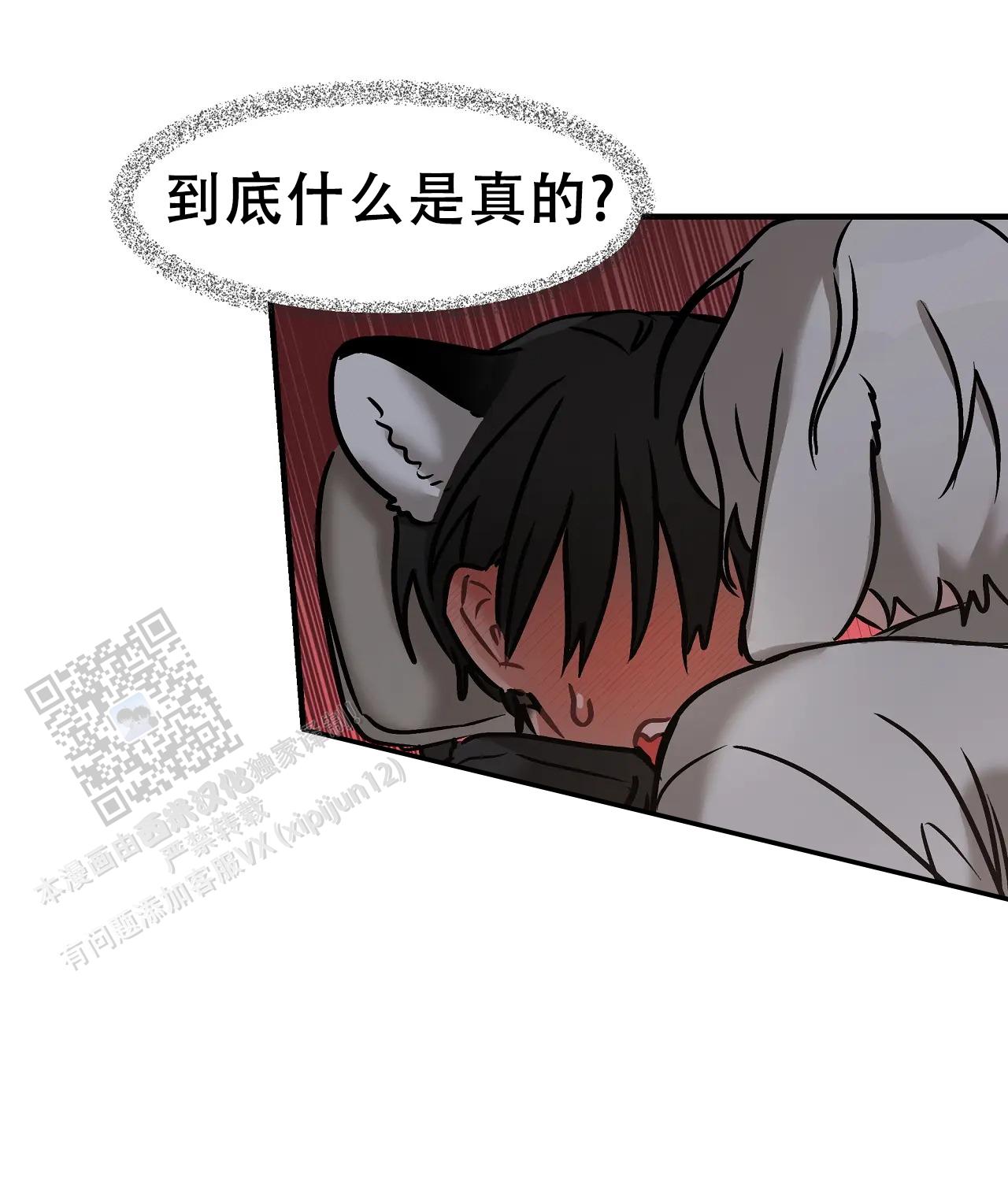 胆怯的老虎 - 第12话 - 第3张图