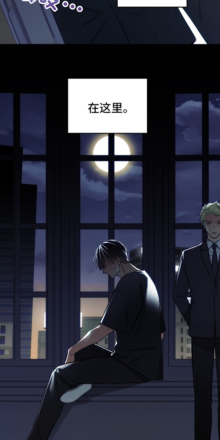 失忆总裁 - 第8话 - 第20张图