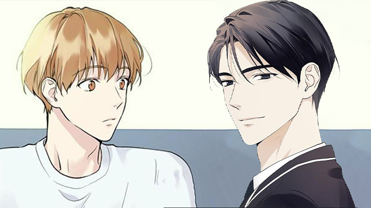 ����ȫ���İ�