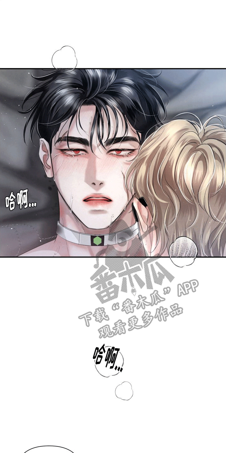 血液指南 - 第19话 - 第1张图