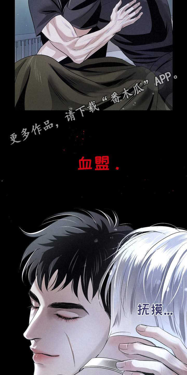 血液指南 - 第32话 - 第11张图