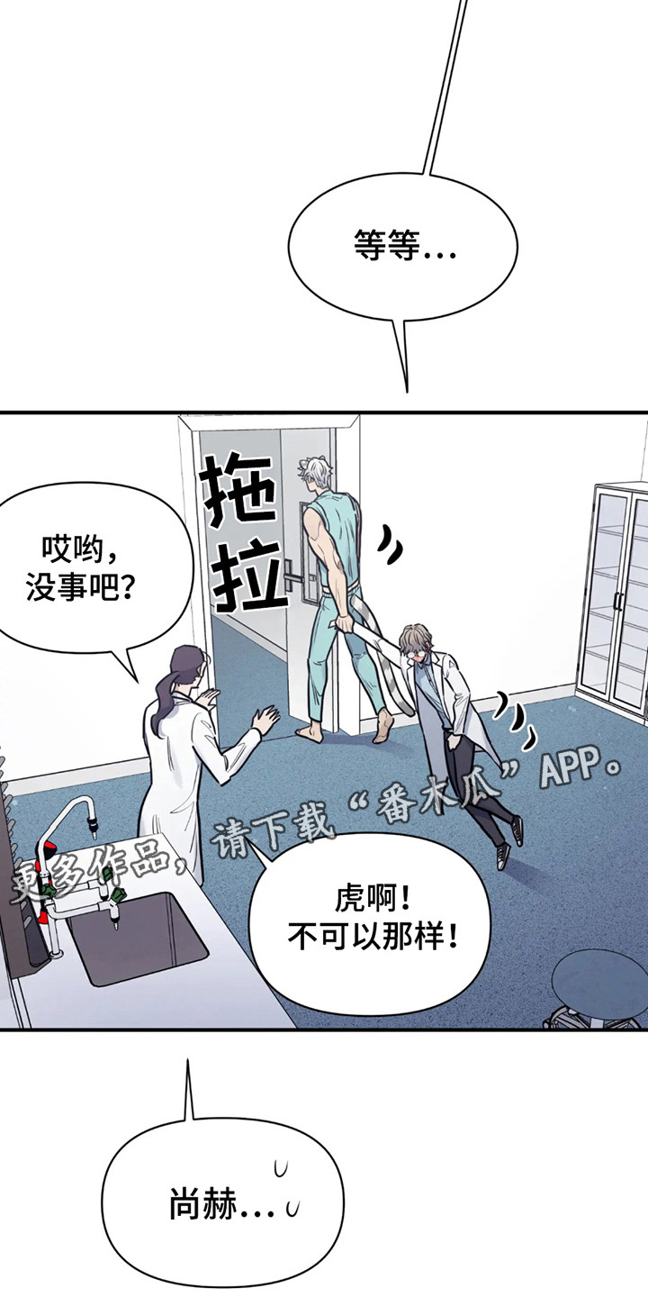 老虎观察日志 - 第5话 - 第11张图