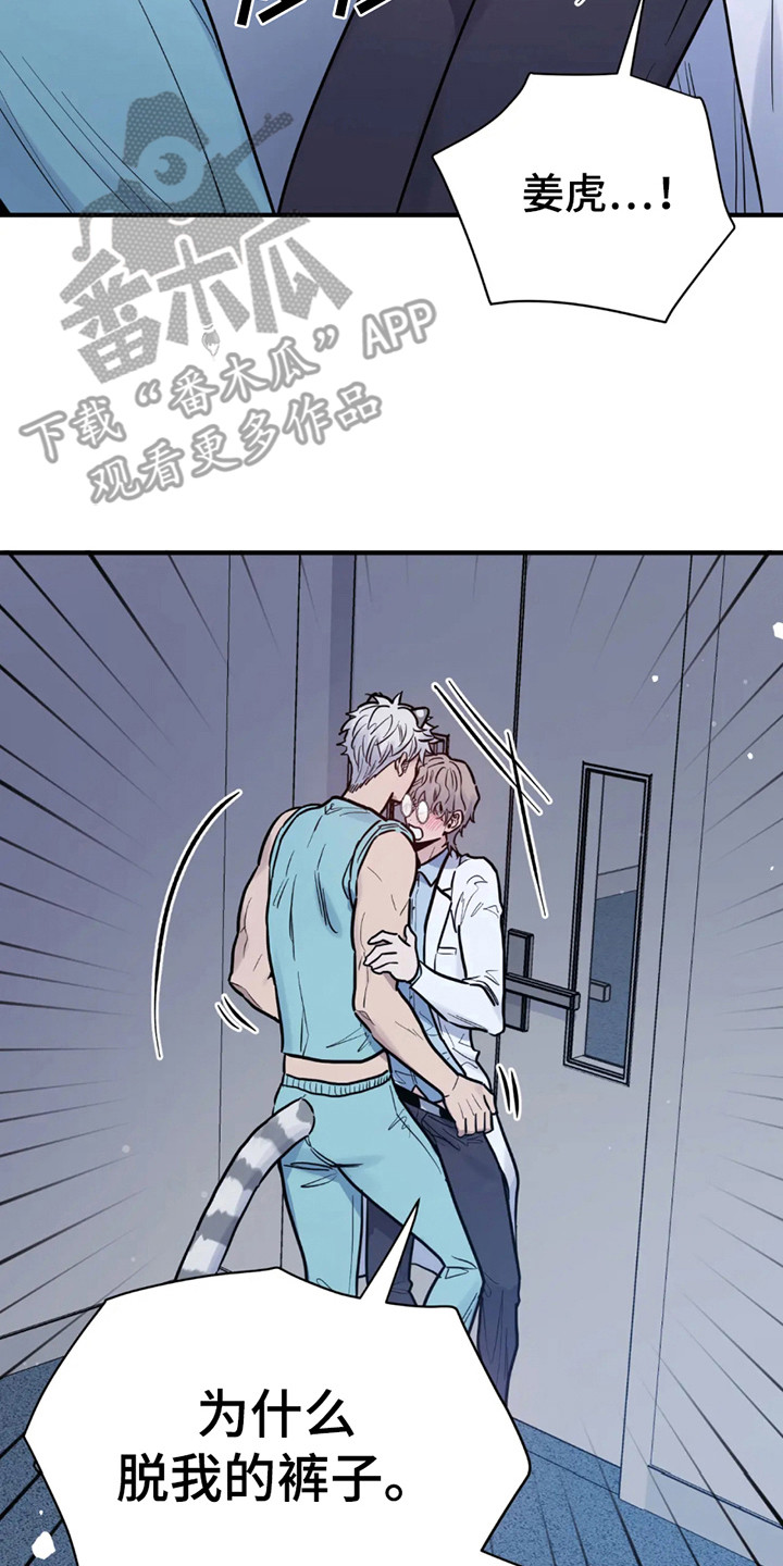 老虎观察日志 - 第5话 - 第17张图