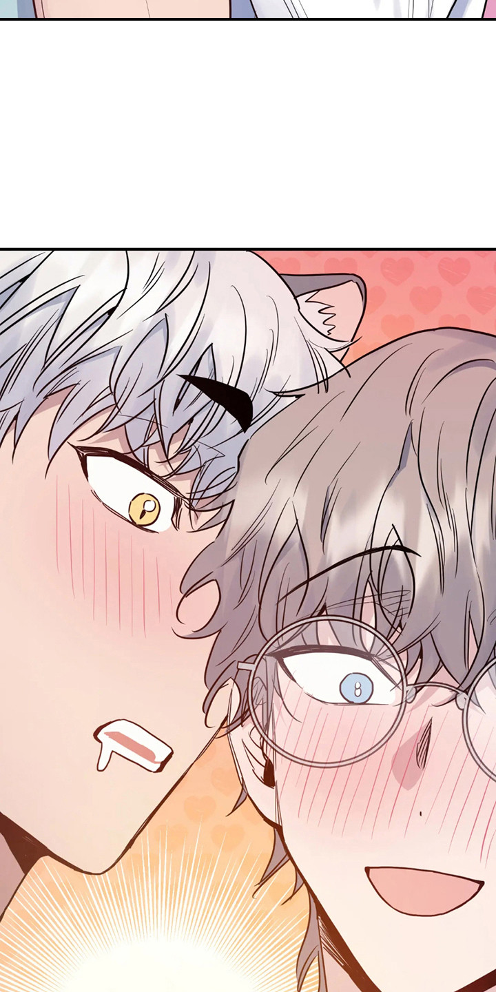 老虎观察日志 - 第5话 - 第19张图