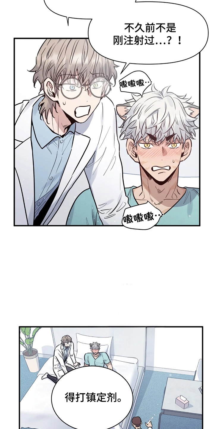 老虎观察日志 - 第3话 - 第12张图