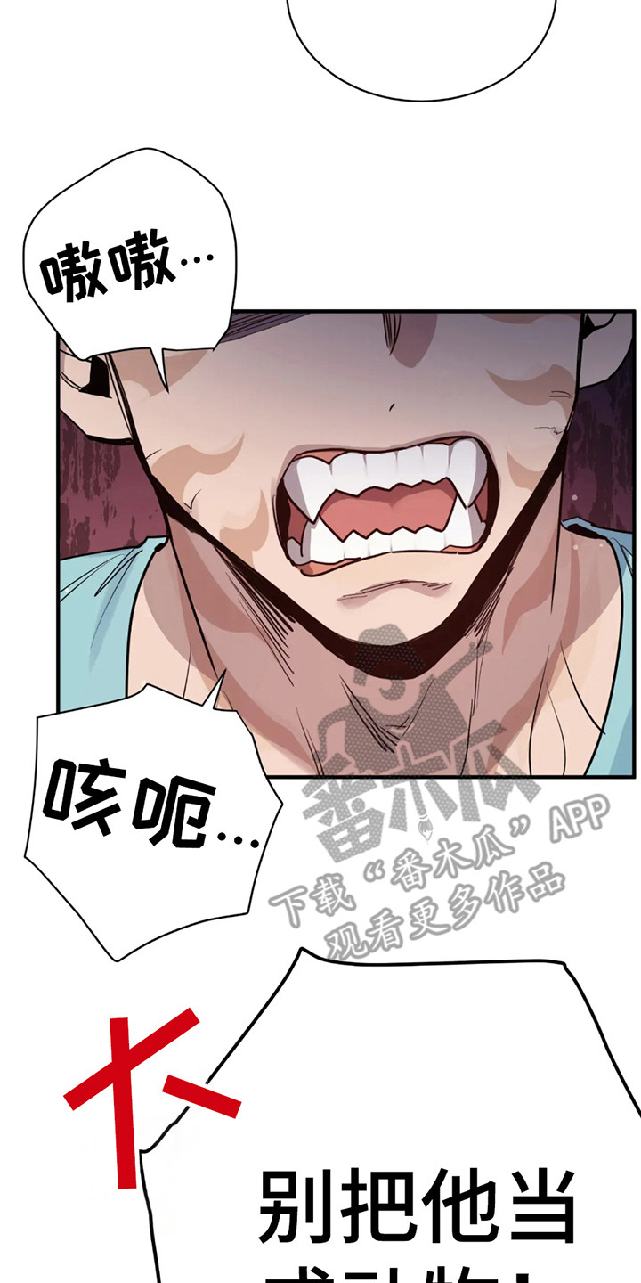 老虎观察日志 - 第3话 - 第14张图