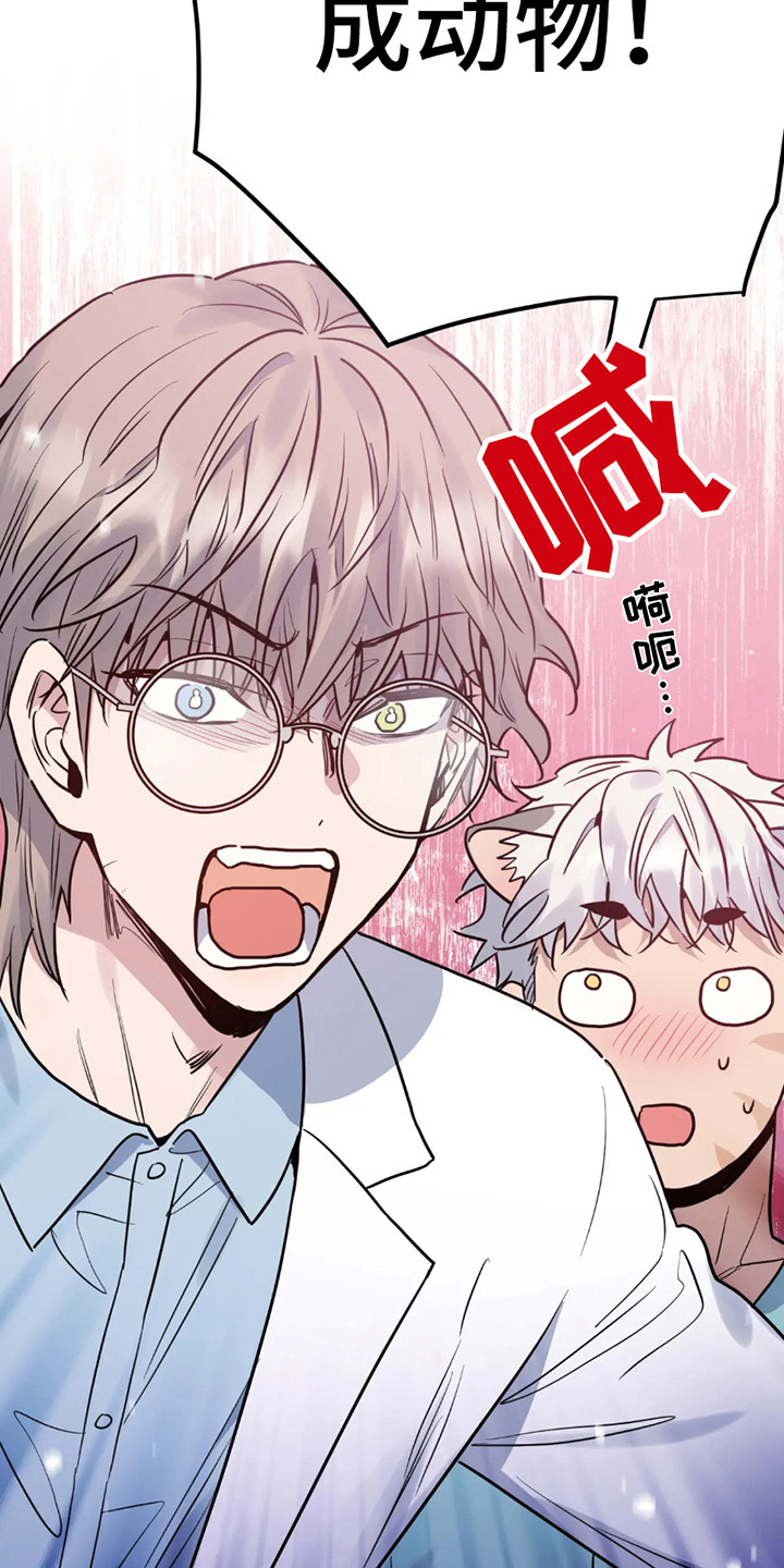 老虎观察日志 - 第3话 - 第15张图