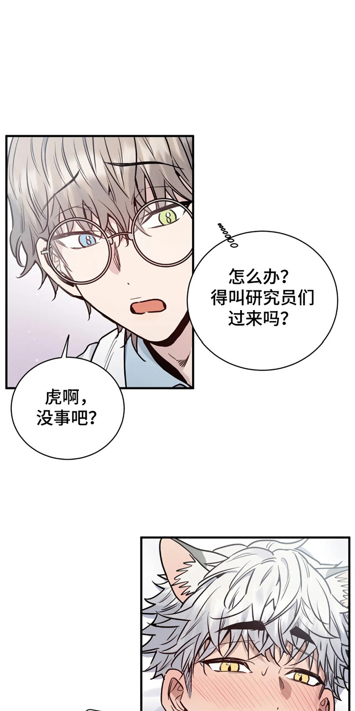 老虎观察日志 - 第3话 - 第1张图