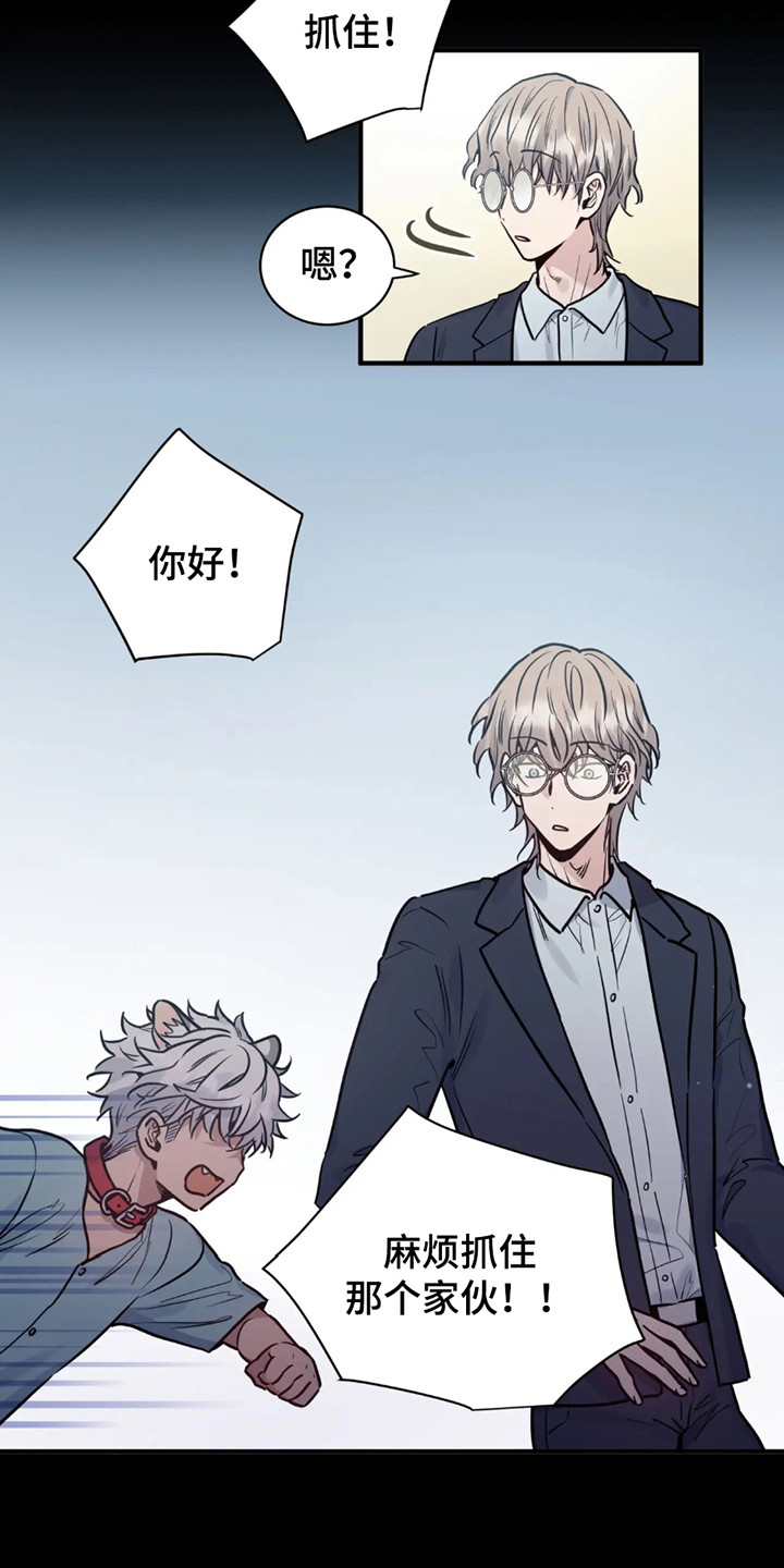 老虎观察日志 - 第1话 - 第13张图